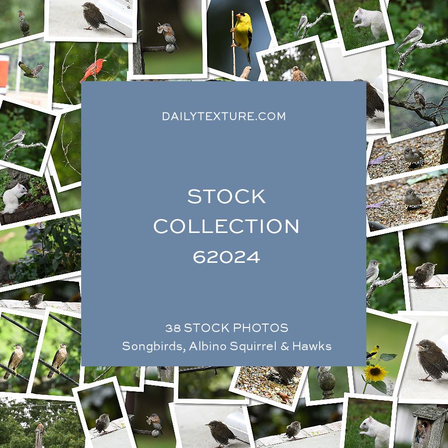 Daily Texture Stock Photos - Collection 62024