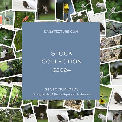 Daily Texture Stock Photos - Collection 62024