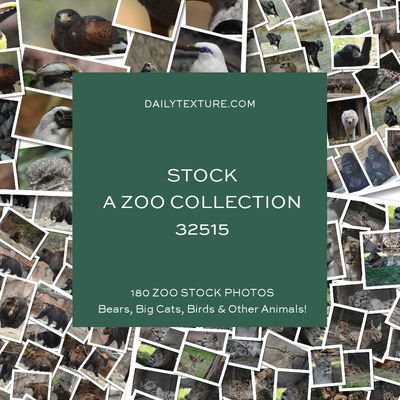 Daily Texture Stock Photos - A Zoo Collection 32515