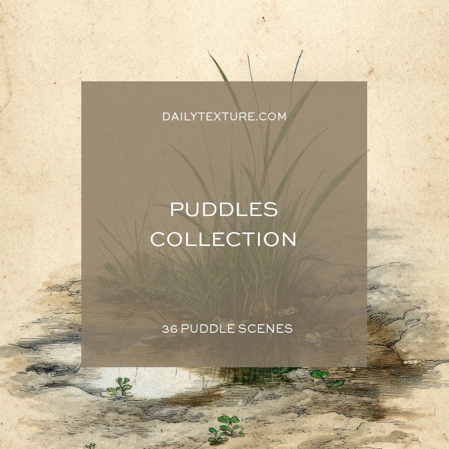 The Puddles Collection