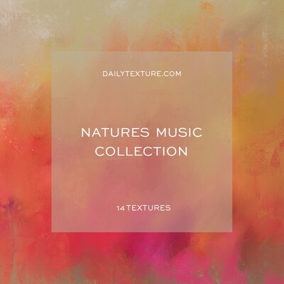 The Natures Music Collection The Natures Music Collection