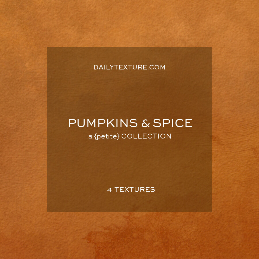 Pumpkins and Spice A Petite Texture Collection