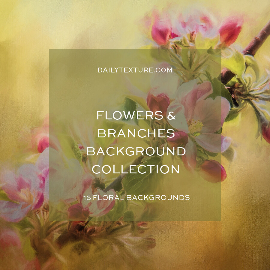 Flowers and Branches Backgrounds Collection
