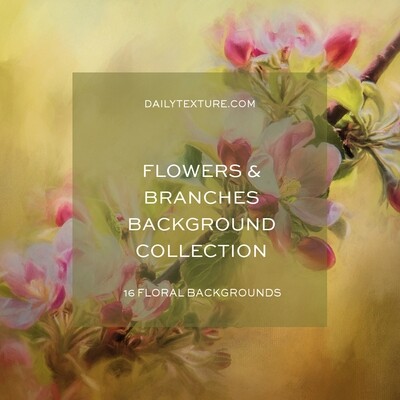 Flowers and Branches Backgrounds Collection