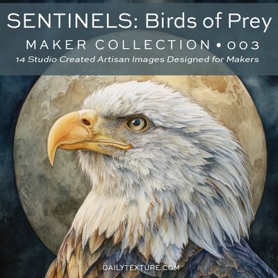 Daily Texture Maker Collection 003: Sentinels - Birds of Prey