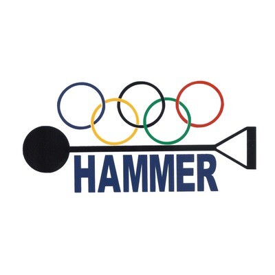 Hammer Logo Sticker ( Color )