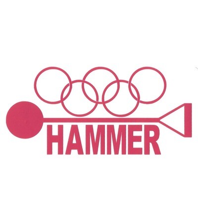 Hammer Logo Sticker ( Pink )