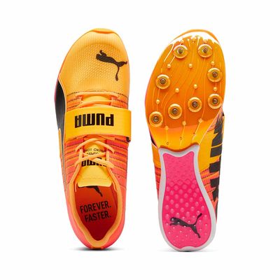 PUMA evoSPEED LJ NITRO ( 44.5 / 11 )
