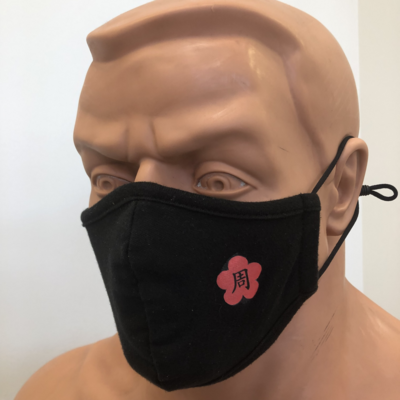 Jow Ga Plum Blossom Mask