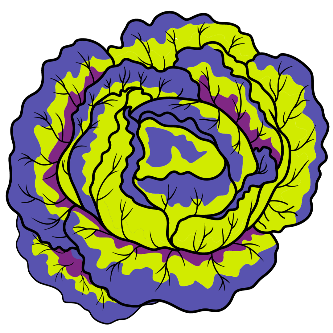 Nourish Salad January 22