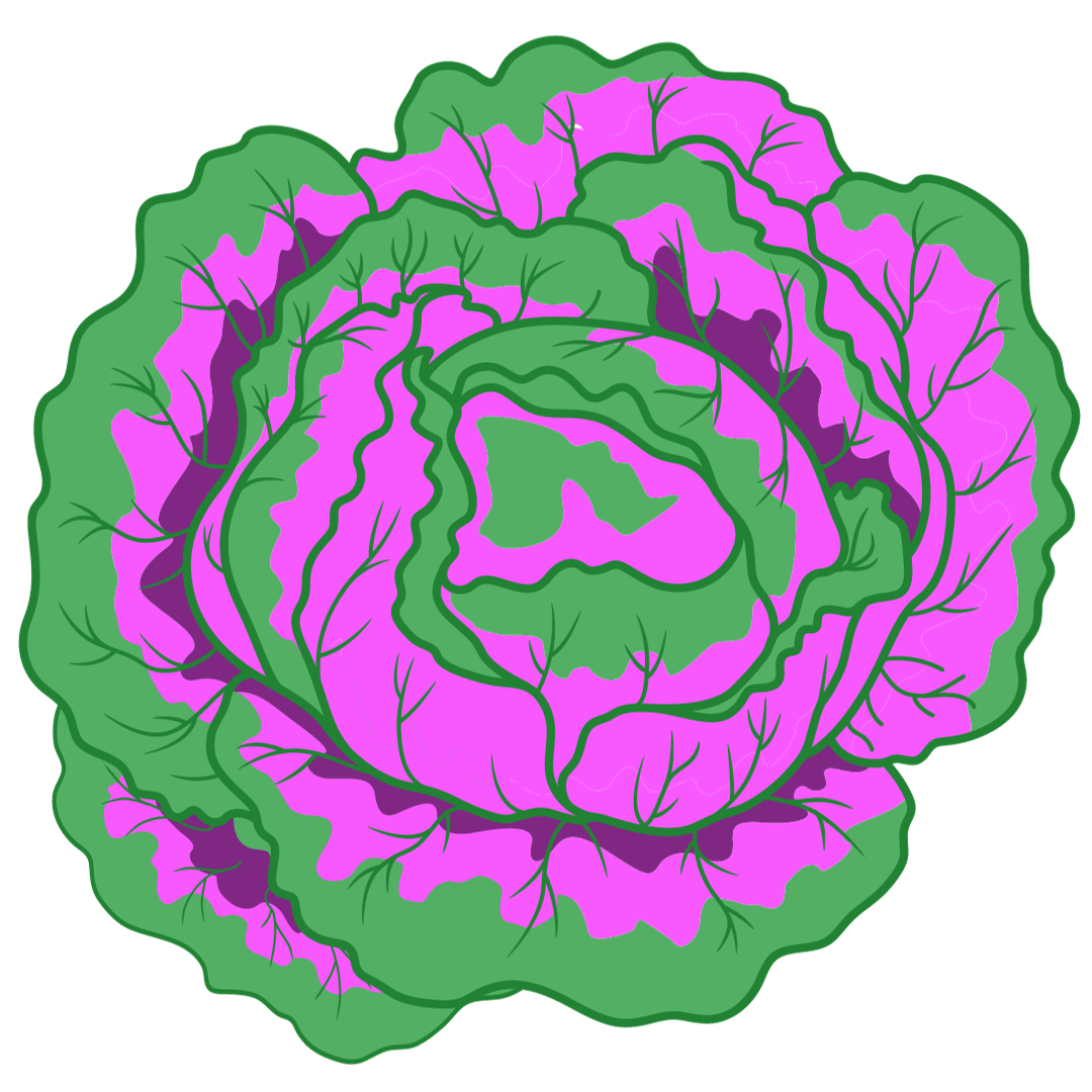 The Mediterranean February 19