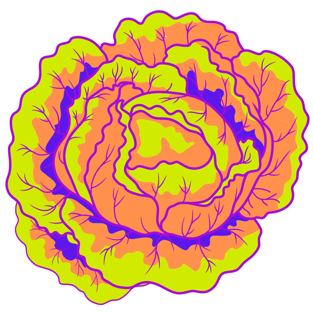 Rainbow Salad February 12