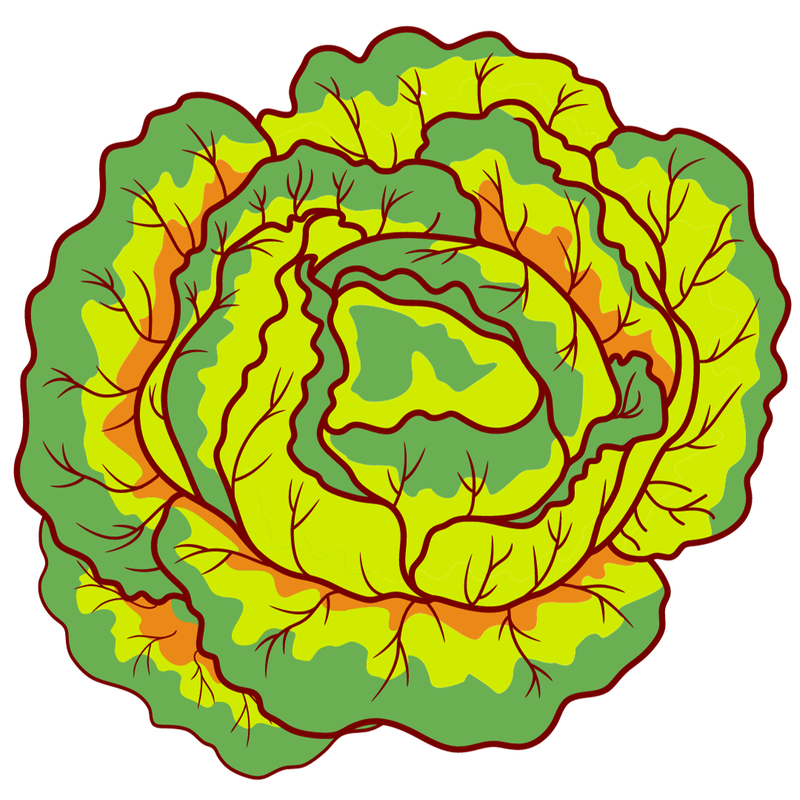 Macaroni Homie December 24 Delivery