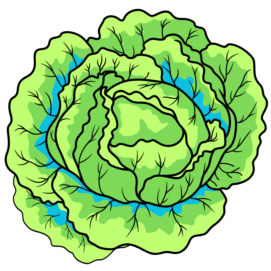 Thai Noods February 5