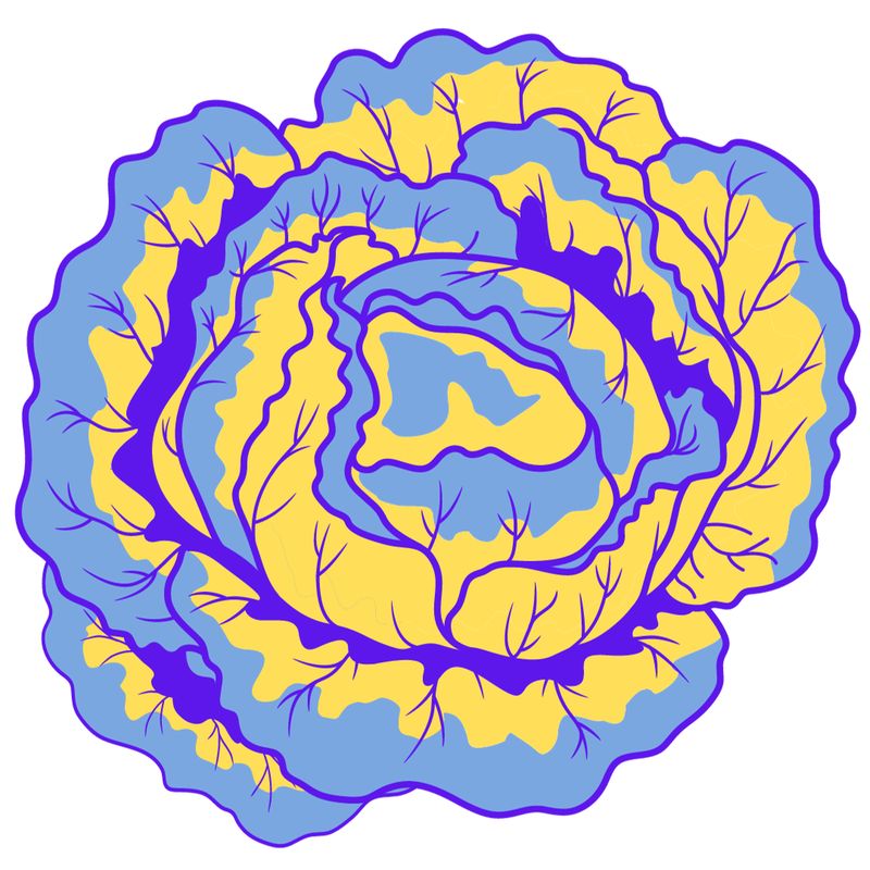 Crispy Chilli Tempeh Noodle Bowl January 22