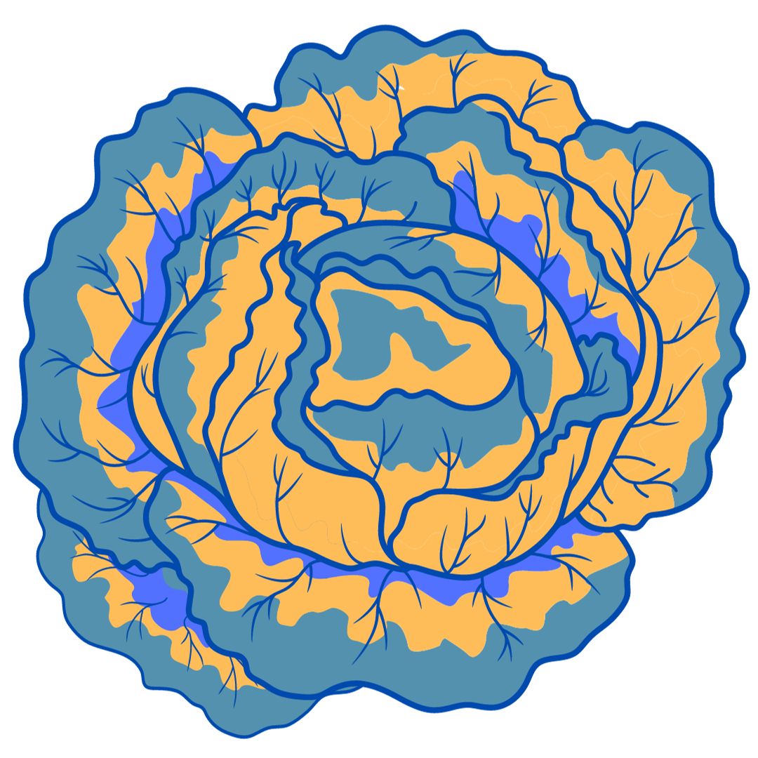 Moroccan Carrot &amp; Chickpea Salad February 26