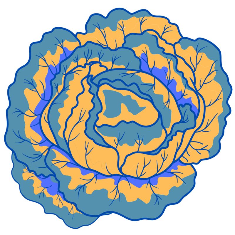 Moroccan Carrot &amp; Chickpea Salad February 26