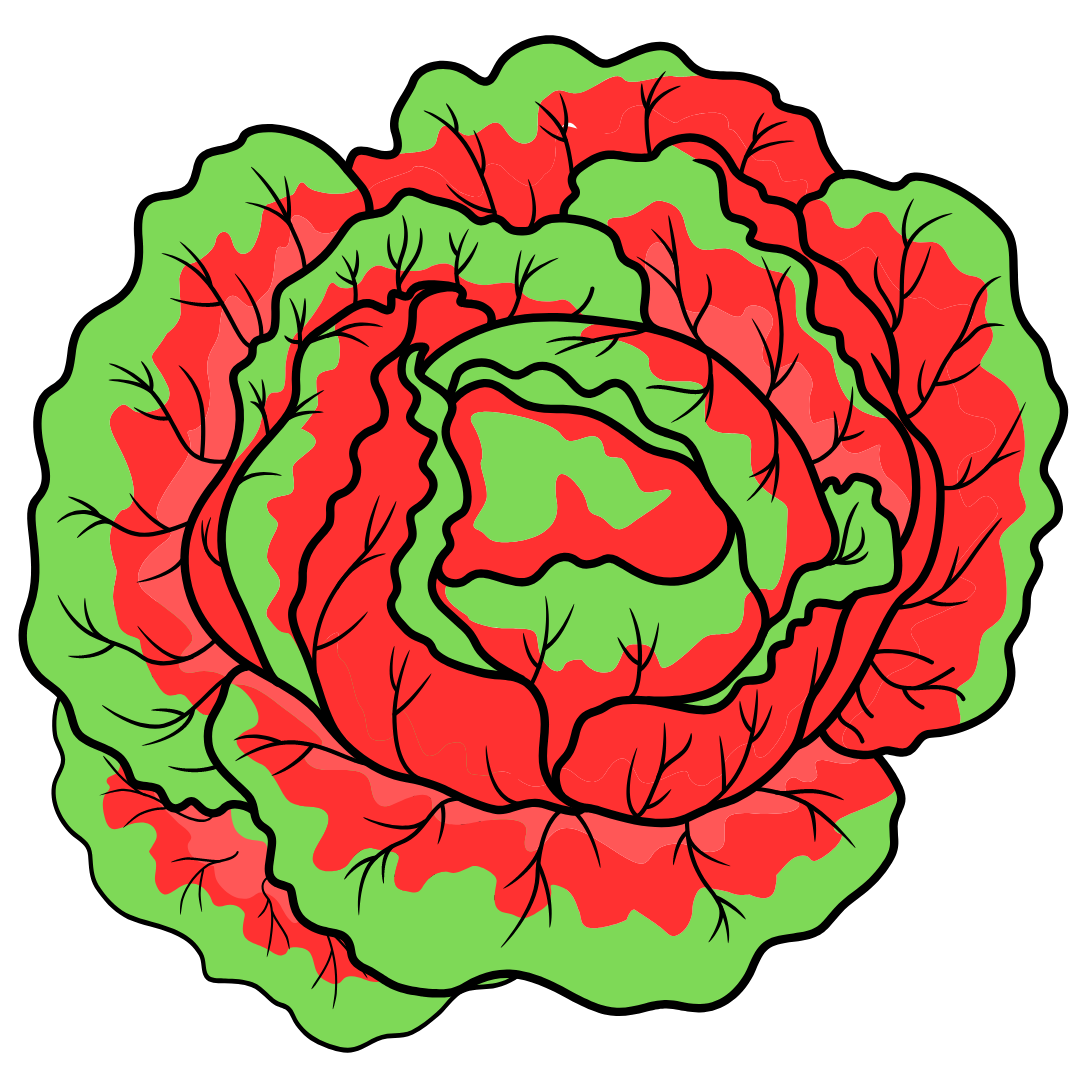 Cashew Crunch Salad January 29