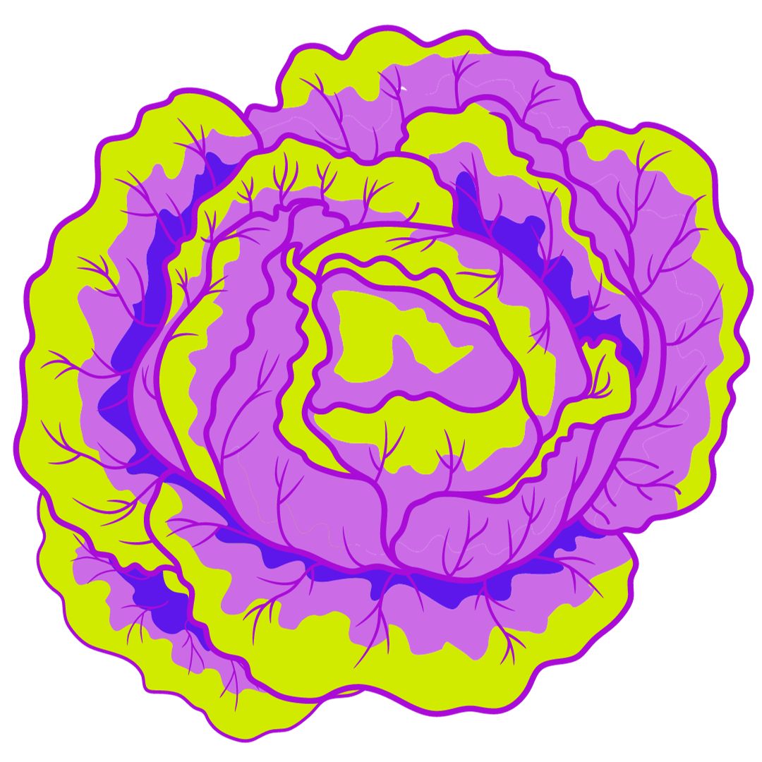 Salad Combo February 5