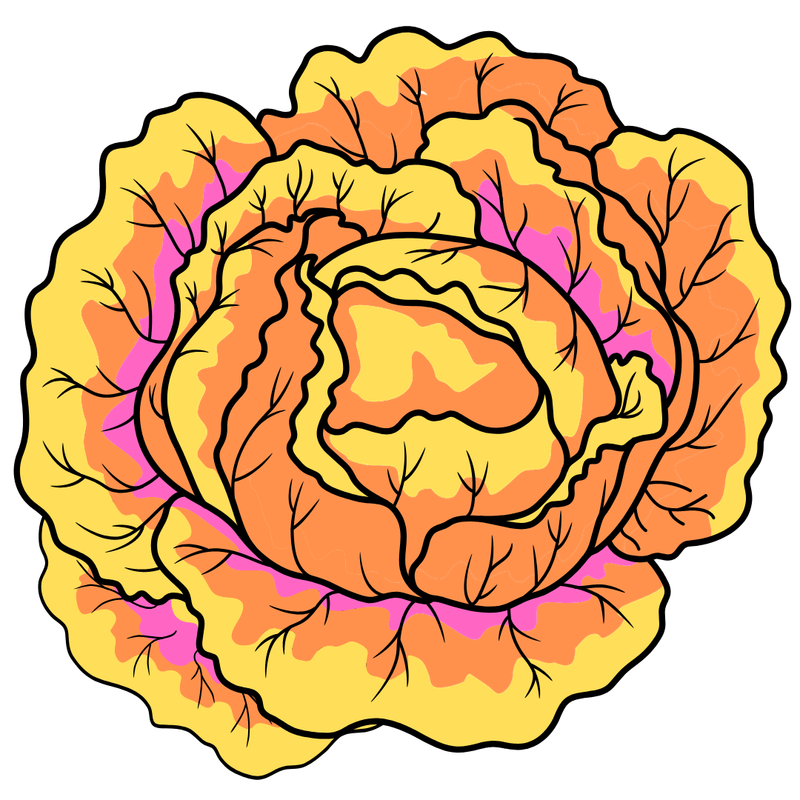 Superfood Chopped Salad February 5