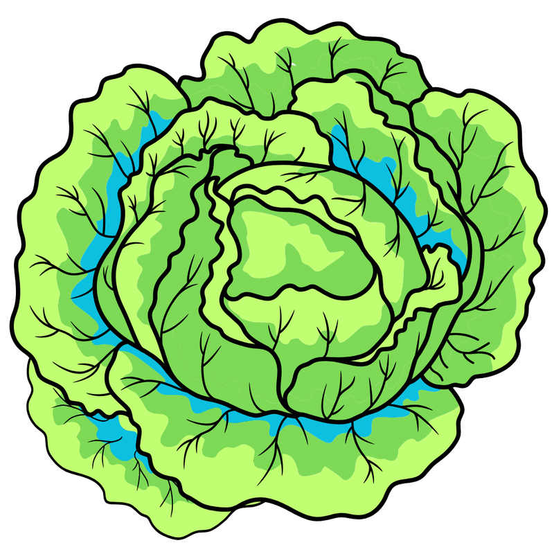 Thai Noods February 5