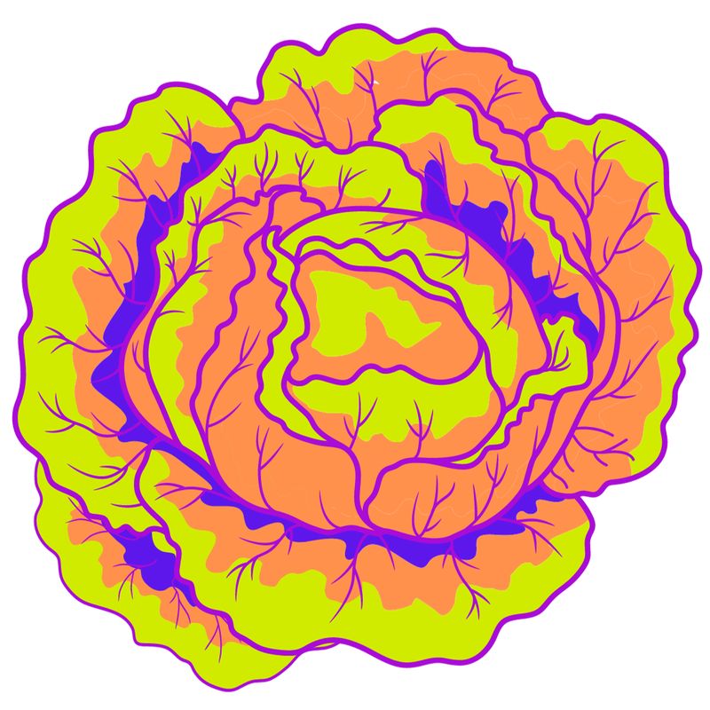 Rainbow Salad February 12