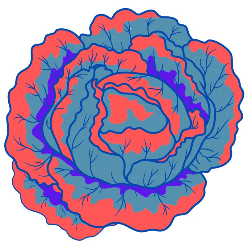 Winter Greens February 5