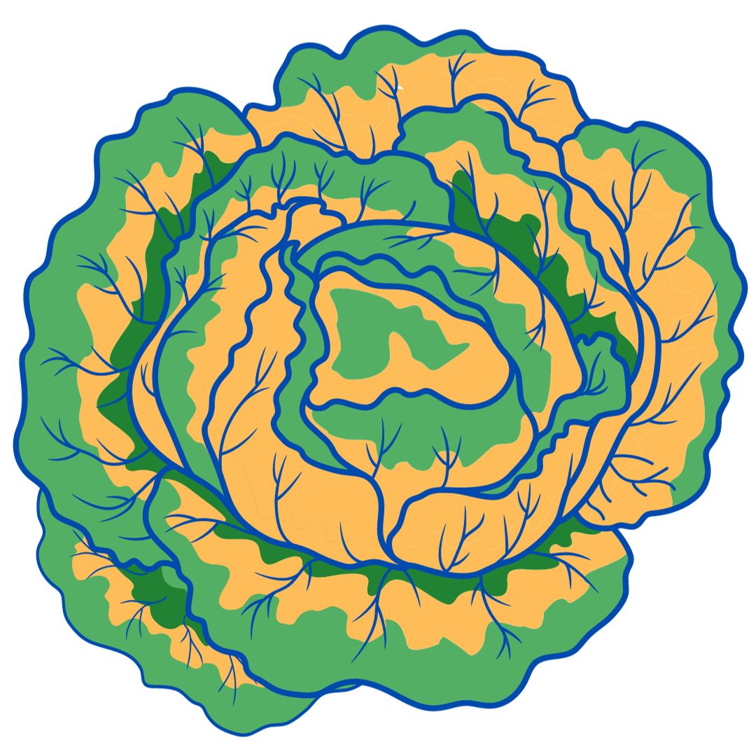 Za'atar Field Salad February 26