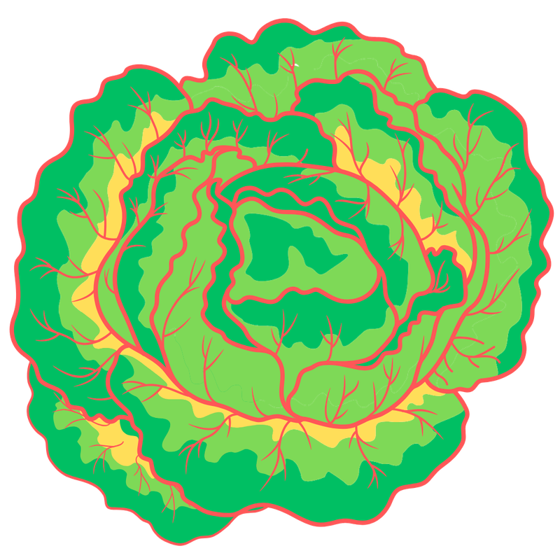 Edamame-Me January 29