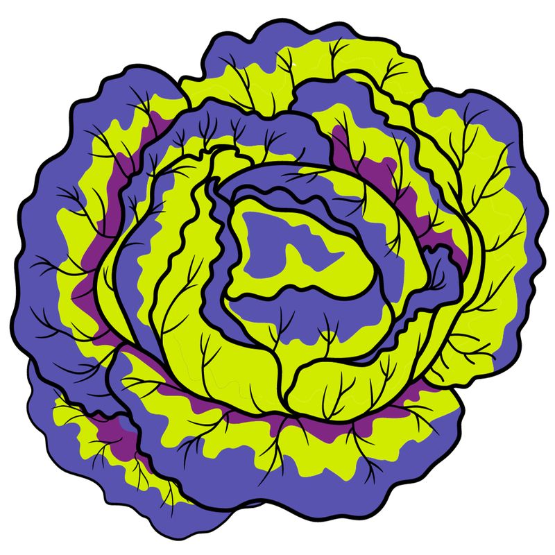 Nourish Salad January 22