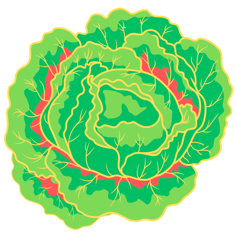 Cilantro Lime Burrito Bowl March 19