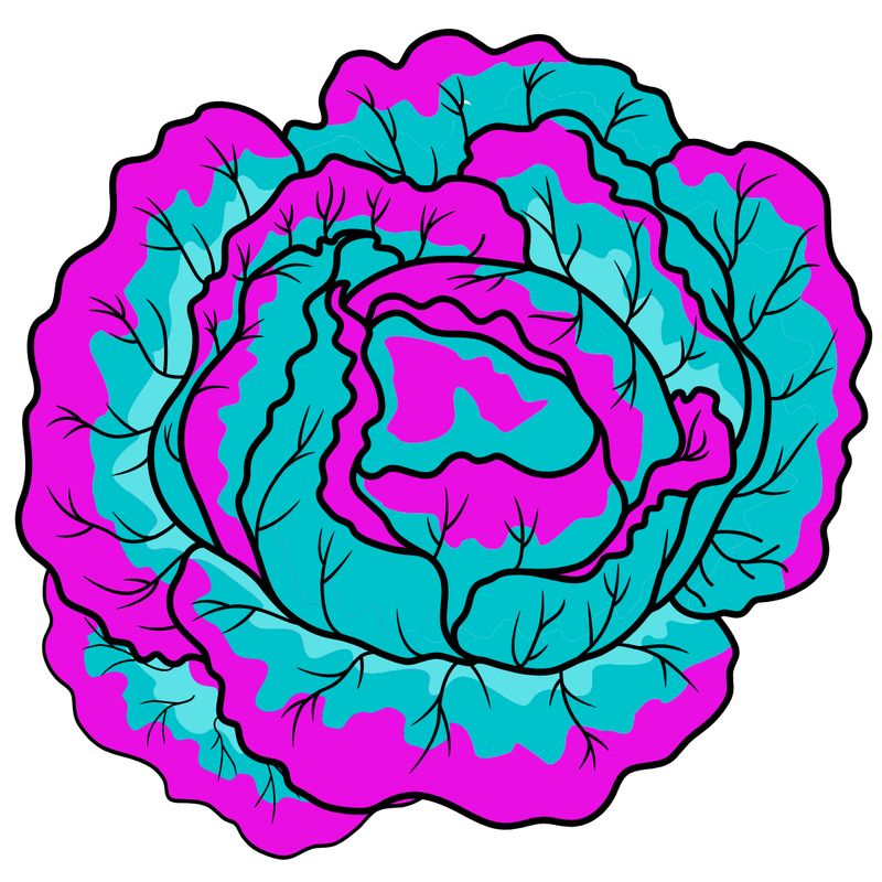 Bacon Blueberry Salad March 26