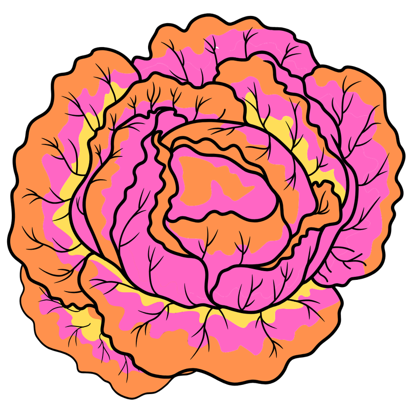 Broccoli Blueberry Salad April 30