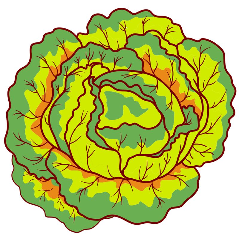 Lettuce Roll Bowl April 30