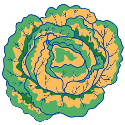 Za'atar Field Salad April 16