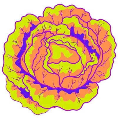 Salad Combo April 30