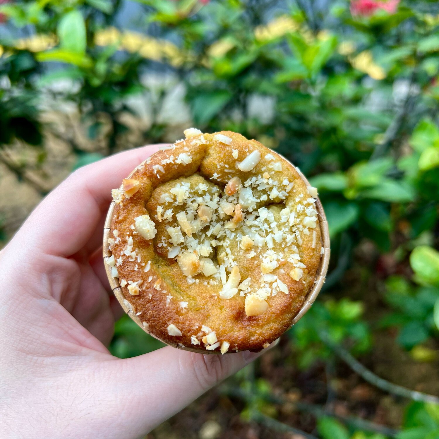 Keto Avodamia Muffin (Box of 6)