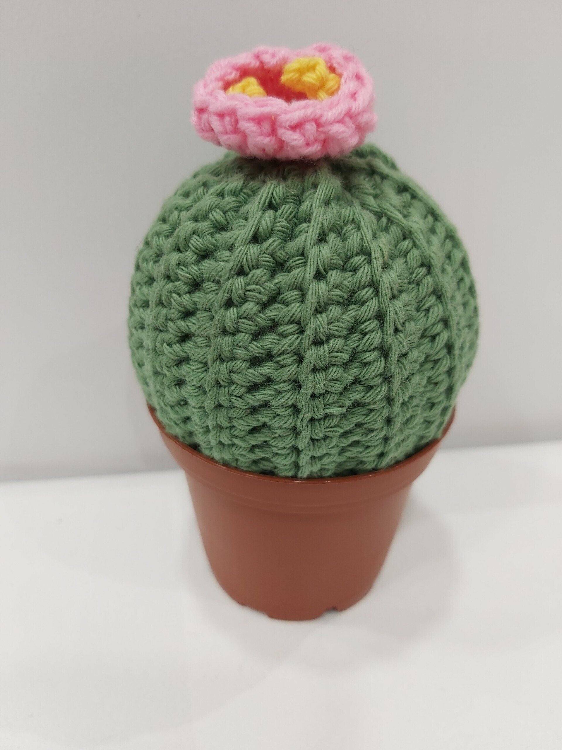 Cactus amigurumi hecho a mano