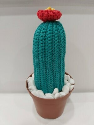 Cactus amigurumi hecho a mano