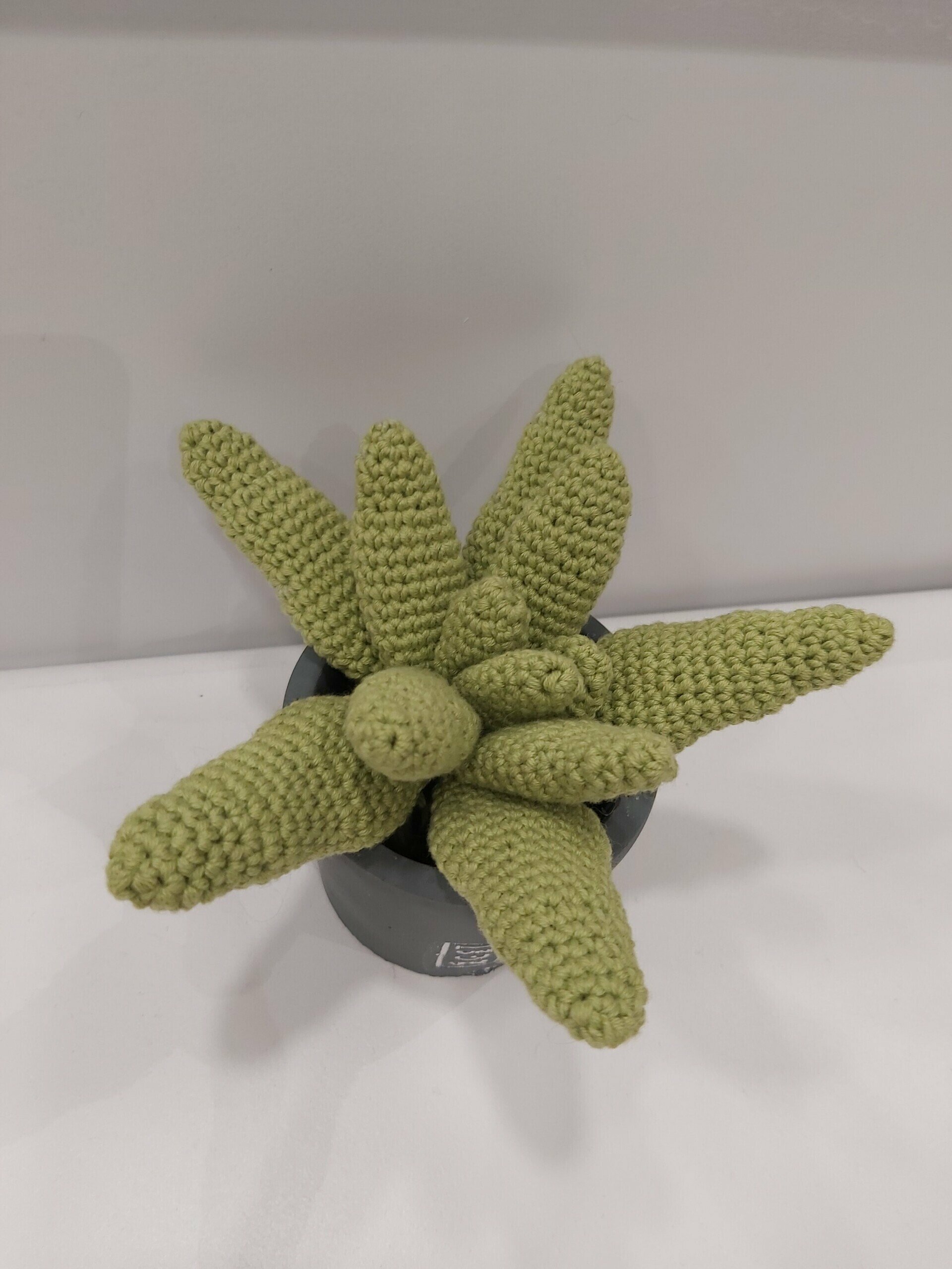 Cactus amigurumi hecho a mano