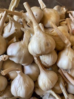 Lokalen - (per KG) Lokalen - (per KG)