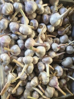 Loose Garlic - Per Kg Loose Garlic - Per Kg