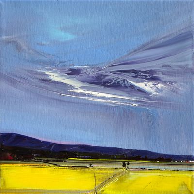 CANOLA NEAR THE WEDDIN