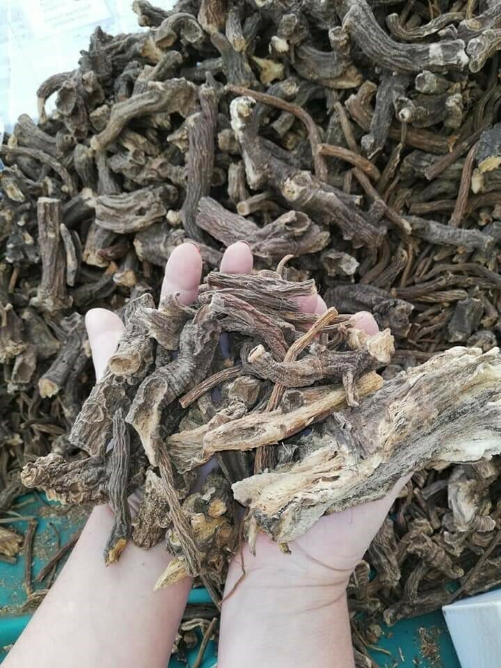 radice di genziana + ricetta kg.0,300