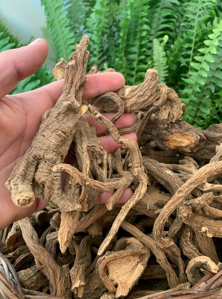 radice di genziana + ricetta kg.0,500
