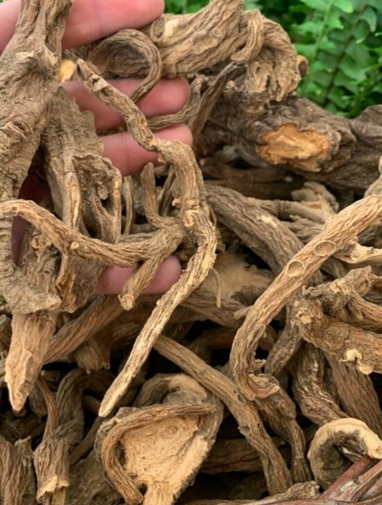 Genziana radice secca sfusa gr.100
