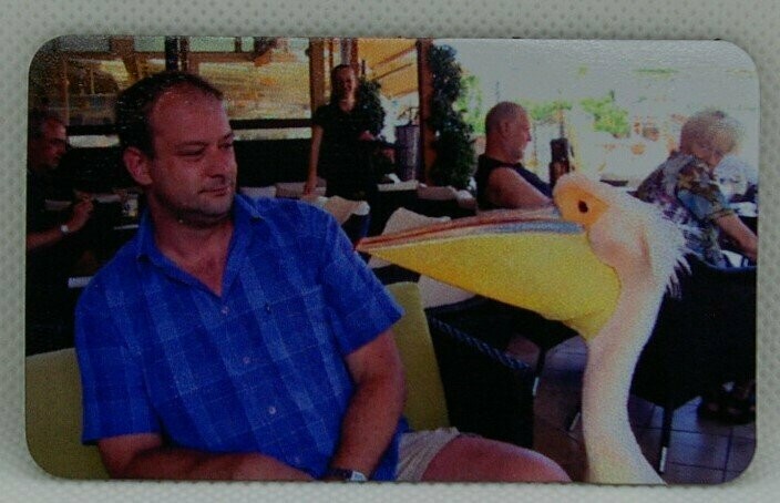 Magnetsticker mit Foto