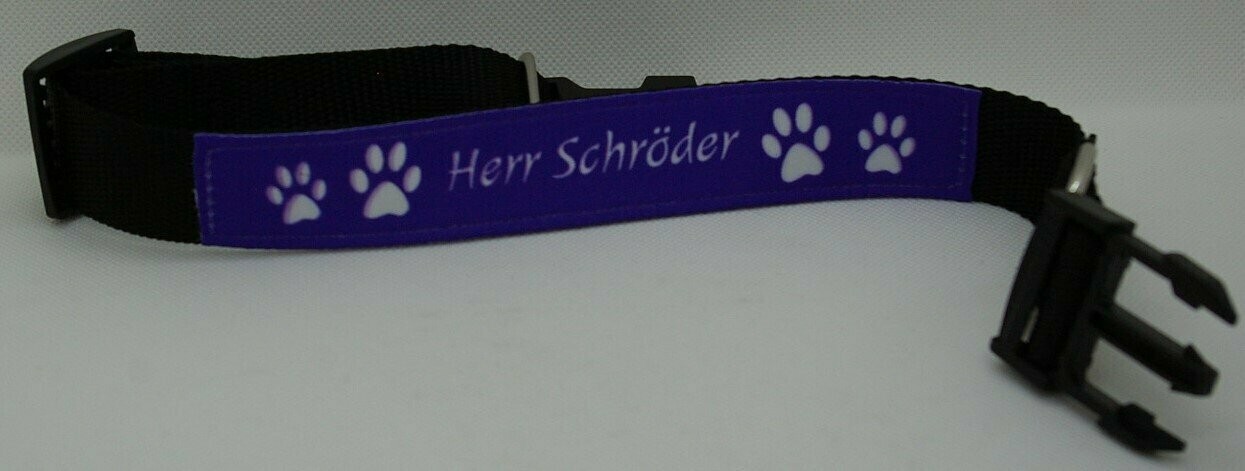Tierhalsband mit Namen - Groß