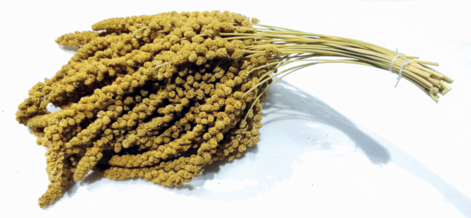 Kolbenhirse französisch 1 kg (rot)