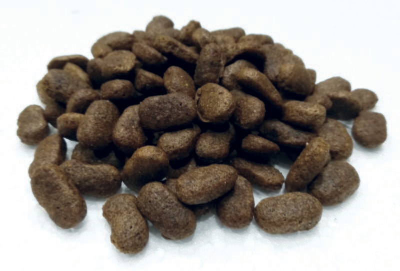 Getreidefreies Alleinfuttermittel mit Insekten für den Hund 30 kg - 
4,00 €/kg